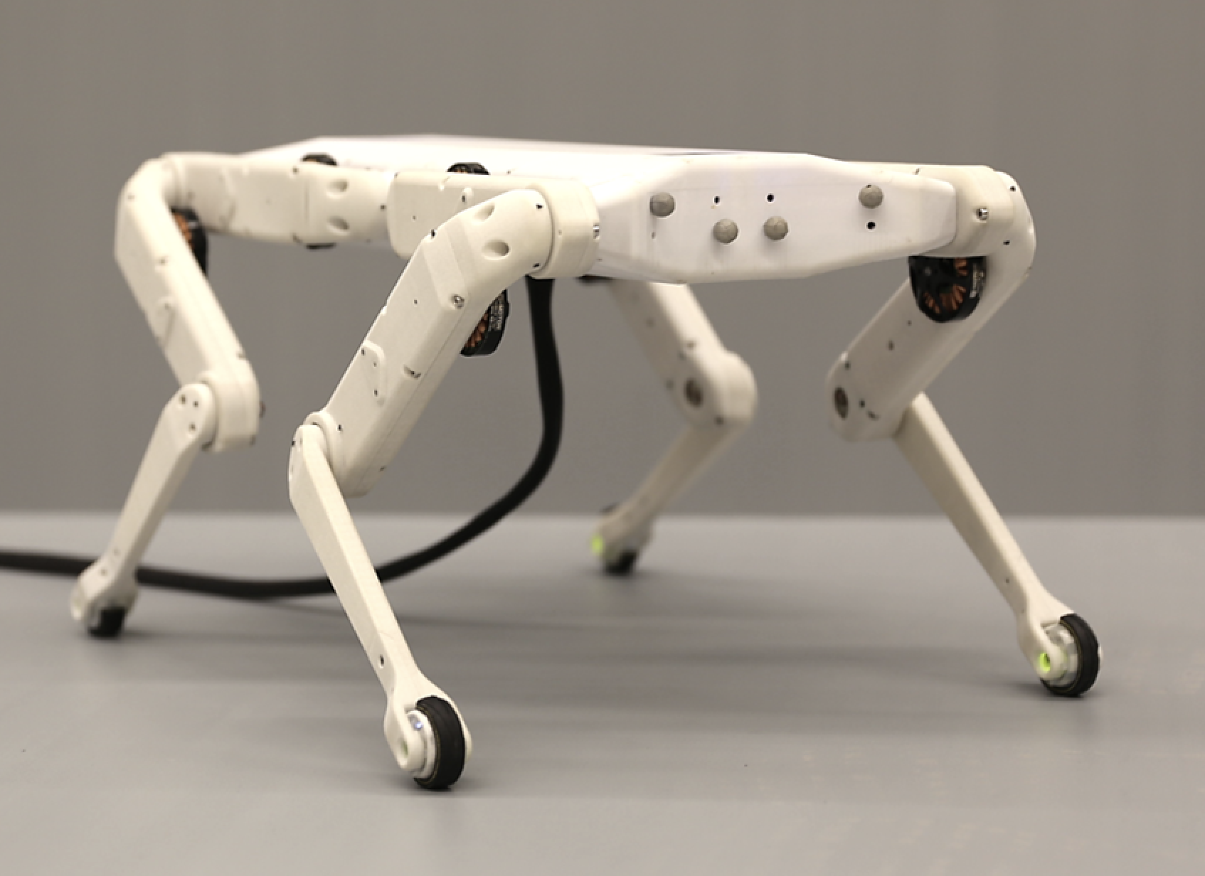 Design of store dynamic legged robots